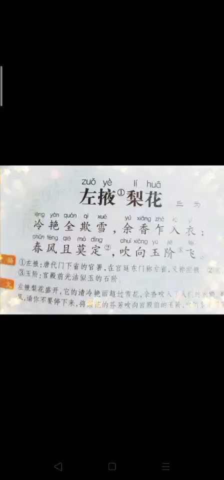 关于梨花的诗句古诗图片