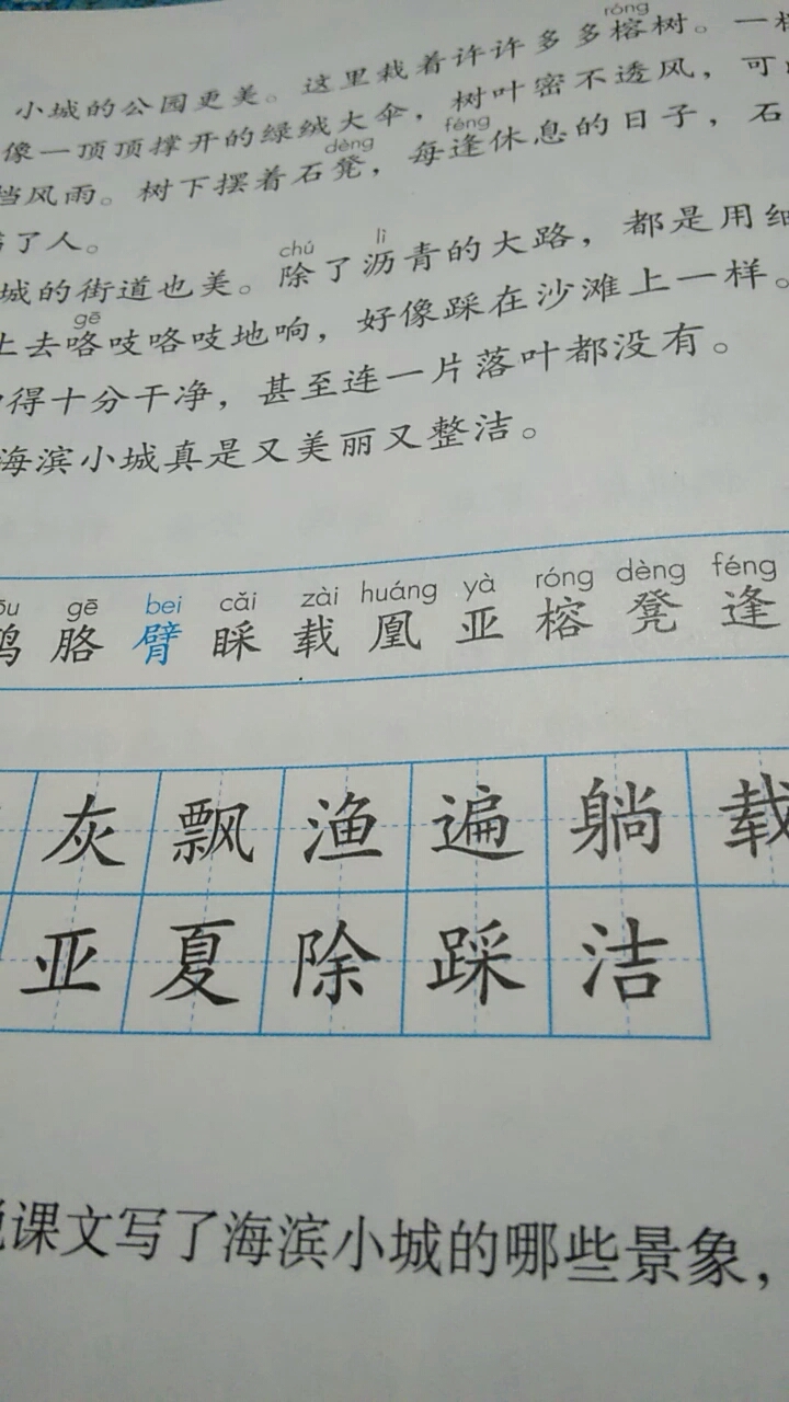 朗读三年级课文海滨小城三