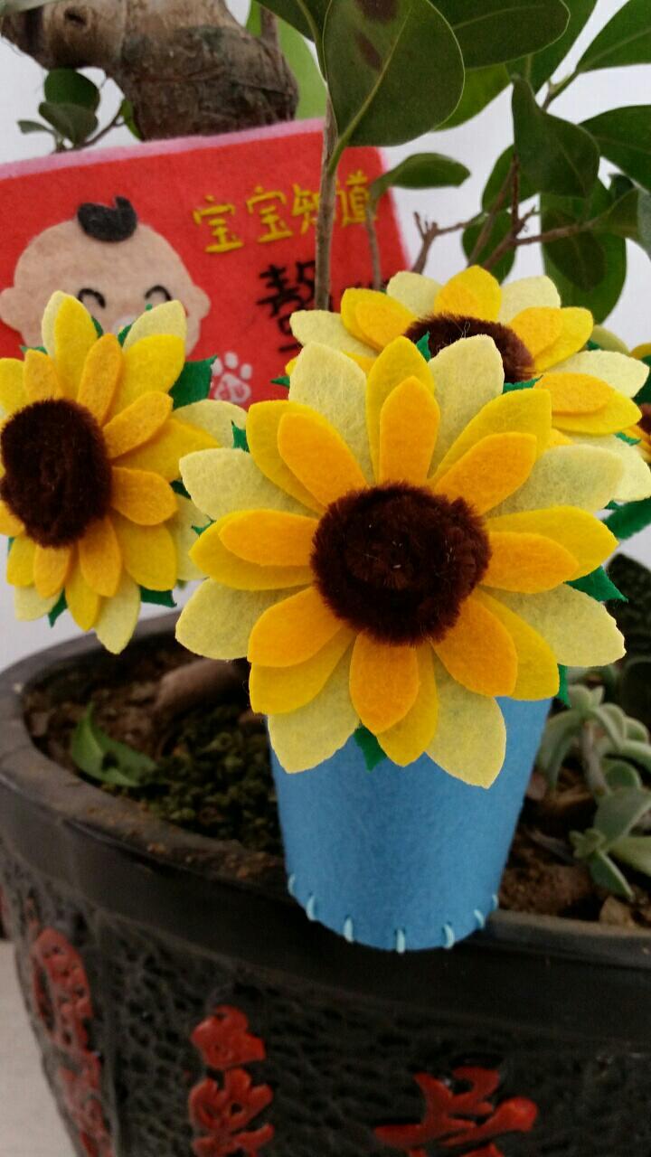 [约会春天]清新的不织布太阳花