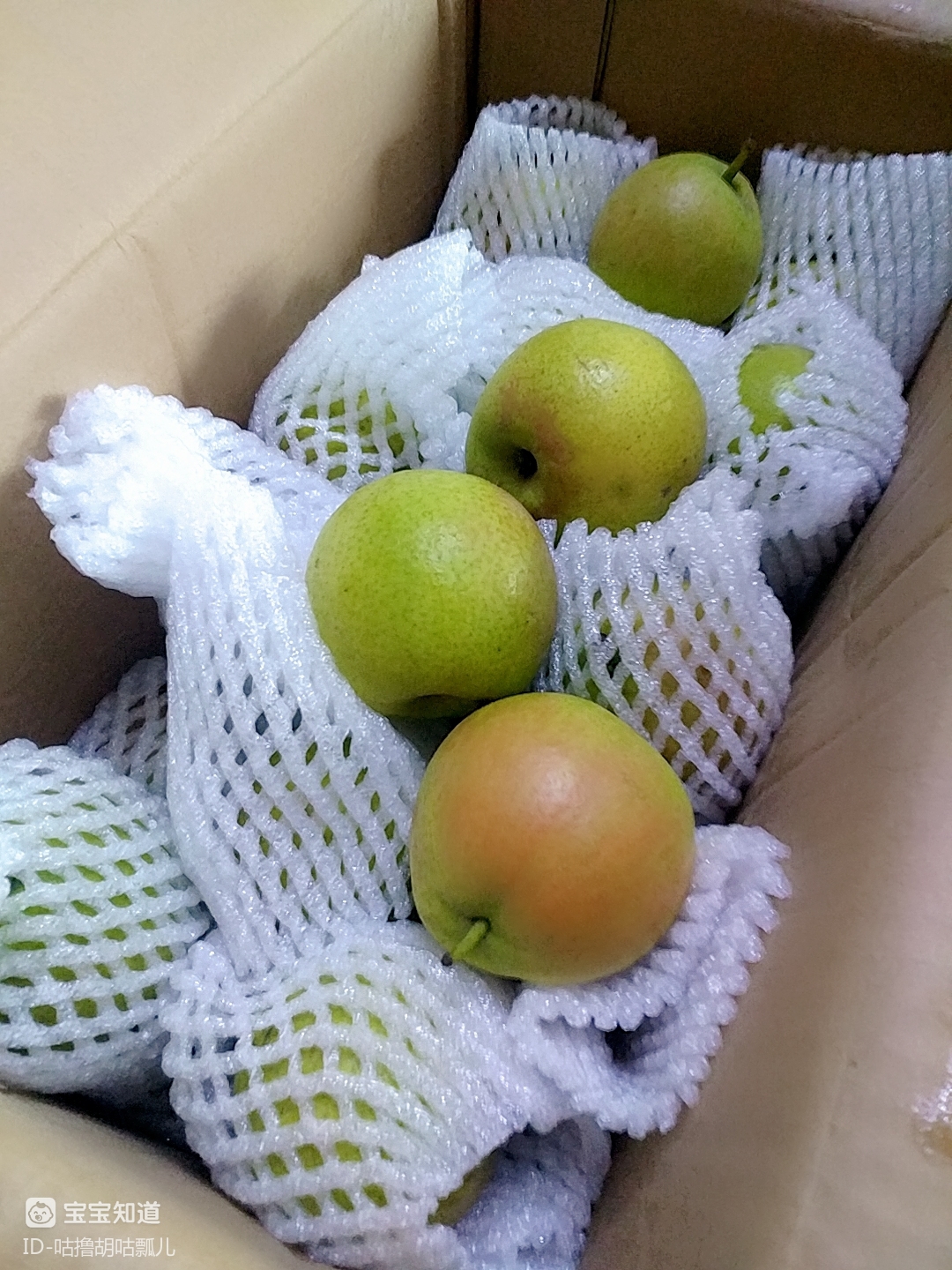 今日账单买了一箱南果梨