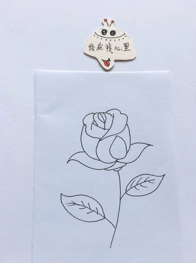 简笔画 画一只漂亮的玫瑰花